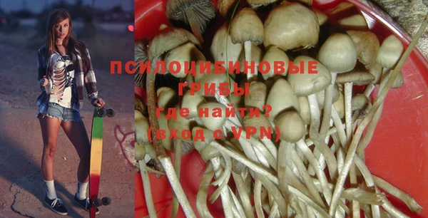 стаф Абдулино