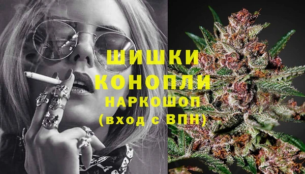 стаф Абдулино