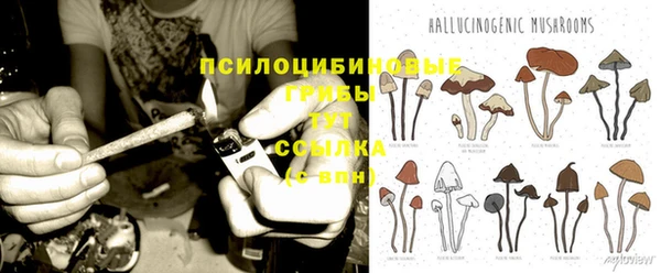 стаф Абдулино