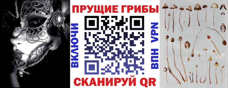 цена   Смоленск  Псилоцибиновые грибы Magic Shrooms 